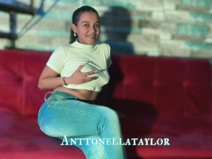 Anttonellataylor