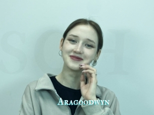 Aragoodwyn