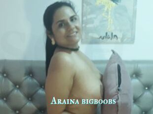 Araina_bigboobs