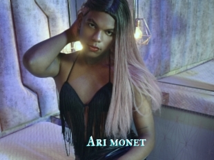 Ari_monet