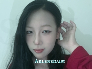 Arlenedaisy
