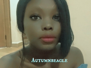 Autumnbeagle