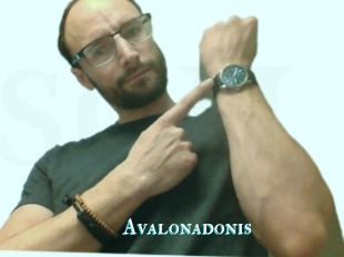 Avalonadonis