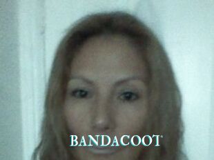 BANDACOOT