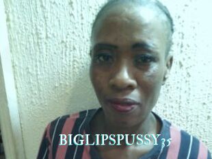 BIGLIPSPUSSY35