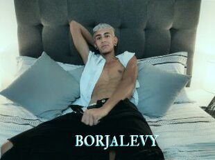 BORJALEVY