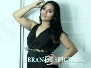 BRANDY_SPICE