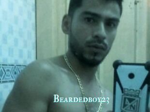 Beardedboy23