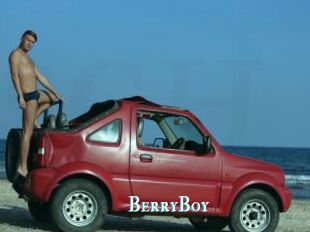 BerryBoy