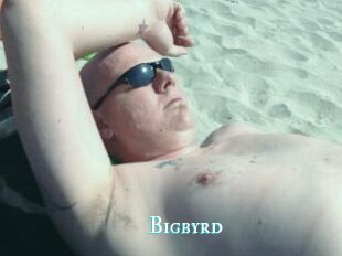 Bigbyrd