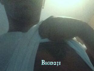 Bigd231