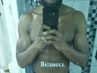 Bigdbull