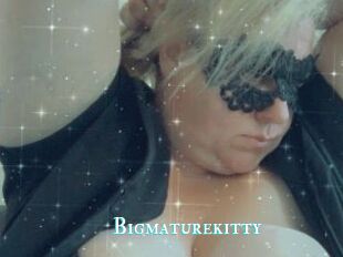 Bigmaturekitty