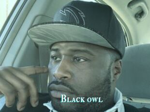 Black_owl