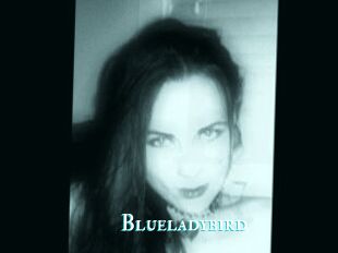 Blueladybird