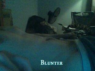 Blunter