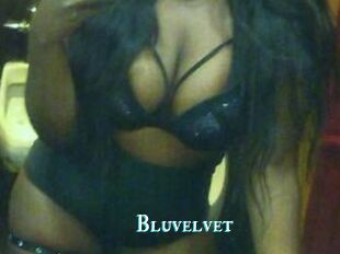 Bluvelvet