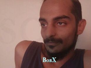 BobX