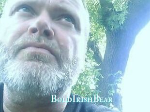 BoldIrishBear