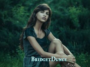 BridgetDunce