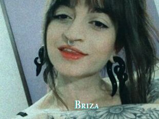 Briza