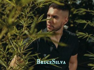 BruceSilva