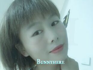 Bunnyhere