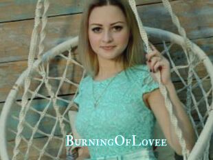 BurningOfLovee