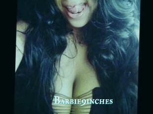 Barbie9inches