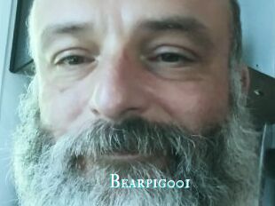 Bearpig001