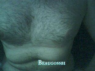 Beaugossbi