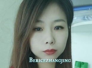 Bericezhangjing