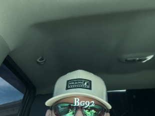 Bg92