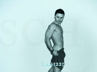 Bica1223