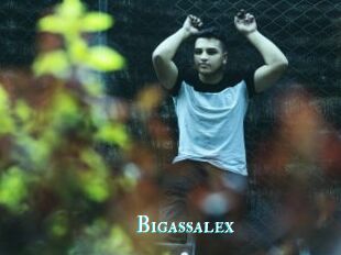 Bigassalex