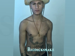 Bigdicksnake