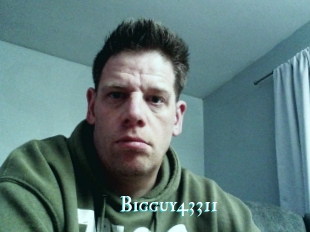 Bigguy43311