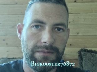 Bigrooster76872