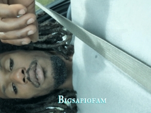 Bigsapiofam