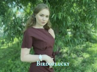 Birdoflucky