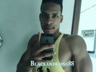 Blackandlong88