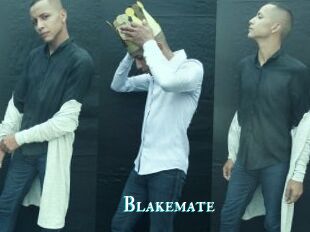 Blakemate