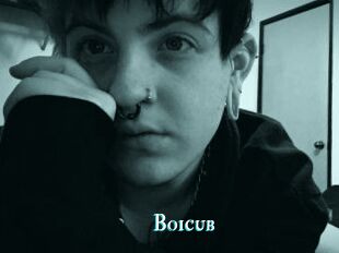 Boicub