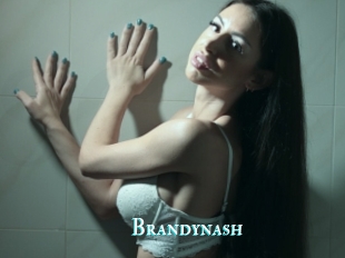 Brandynash