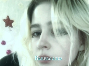 Breeboggus