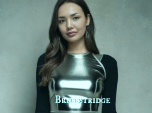 Breeestridge