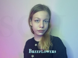 Breeflowers