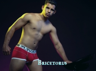 Bricetorus