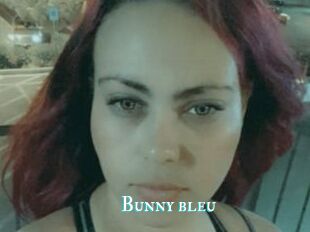 Bunny_bleu
