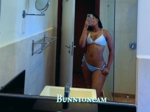 Bunnyoncam
